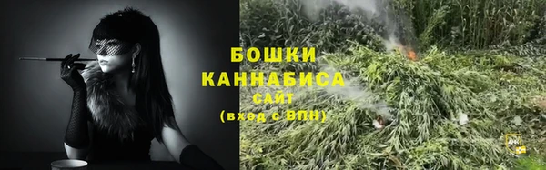 ПСИЛОЦИБИНОВЫЕ ГРИБЫ Кодинск