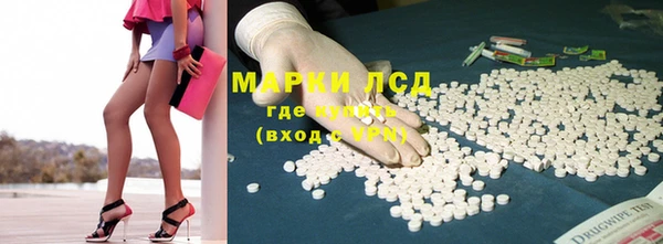 ПСИЛОЦИБИНОВЫЕ ГРИБЫ Кодинск