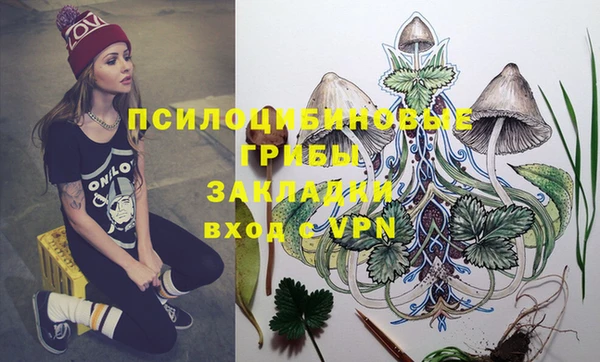 мдпв Коряжма