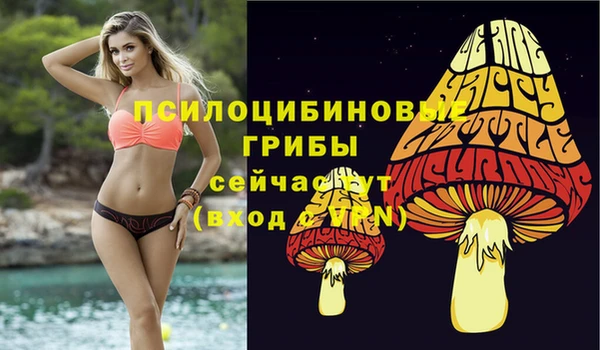 меф Козельск