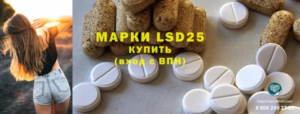 ПСИЛОЦИБИНОВЫЕ ГРИБЫ Кодинск