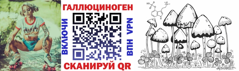 Галлюциногенные грибы GOLDEN TEACHER  Купить где  Бабаево 
